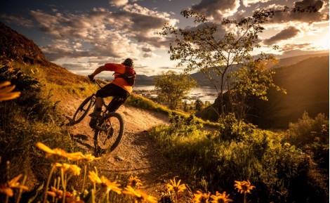 Diferencias entre las bicis de gravel y las de montaña